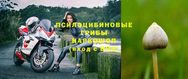 стаф Беслан