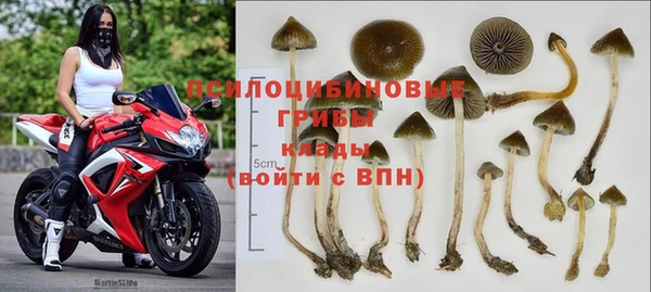 меф Армянск
