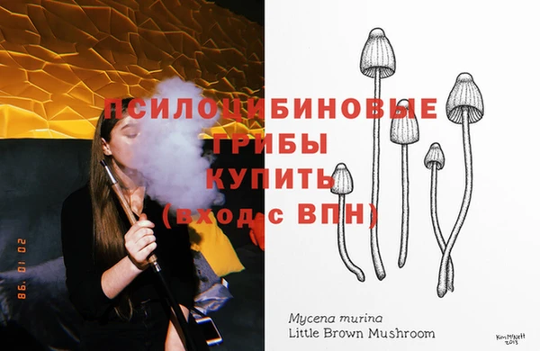 a pvp Алзамай