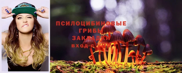 синтетический гашиш Алексеевка
