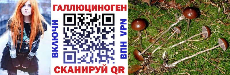 Галлюциногенные грибы мицелий Краснознаменск